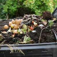 composting