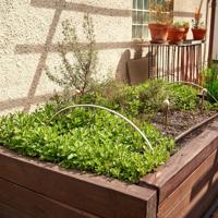 Perennial Herb Garden